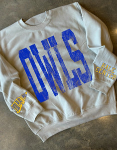 Hale center owls game day sweater