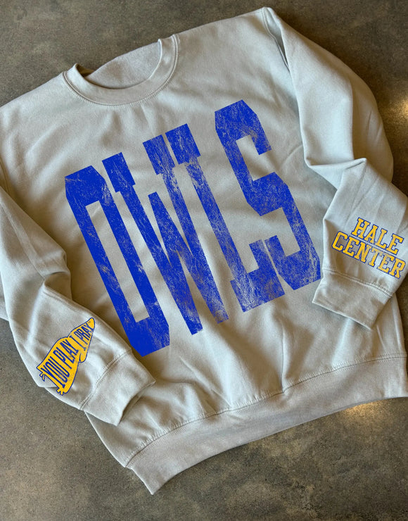 Hale center owls game day sweater